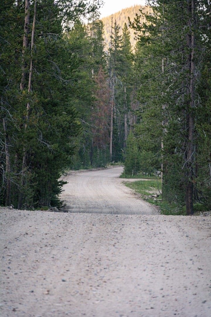 Grusning, Saltning, grusa, salta, vägunderhåll